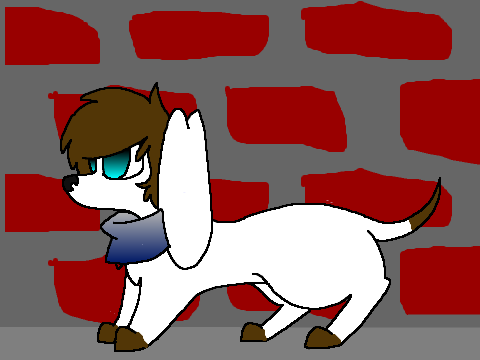 Connor