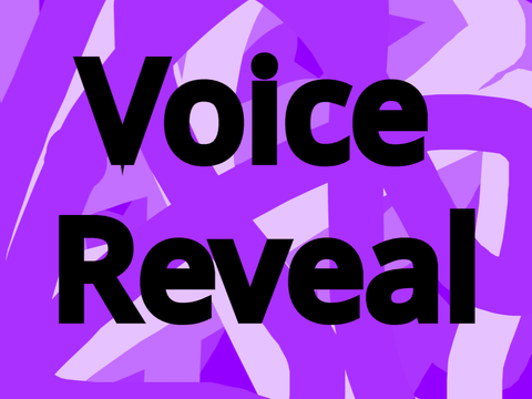 Voice Reveal