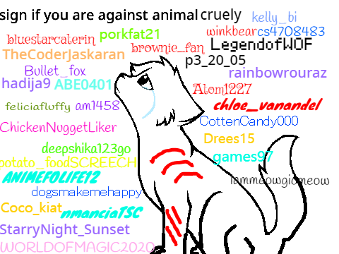 stop this!!!!! #stopanimalabuse