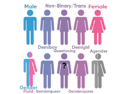 Which One Are You? Gender Chart