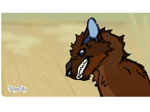 Practice animation