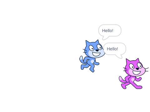 hello cat!