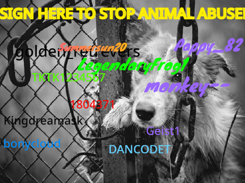 SIGN HERE TO STOP ANIMAL ABUSE!  remix   remix remix remix remix remix remix remix remix