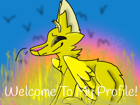 |+| Welcome |+|