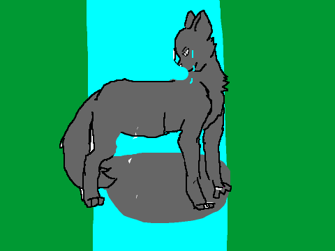 -A hard life for Graystripe-