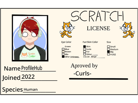 ProfileHub's Scratch licence  remix