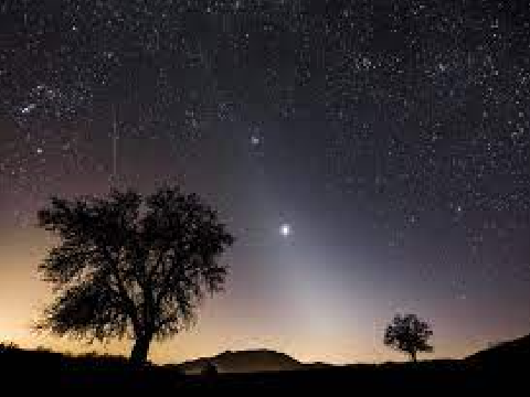 The Nights