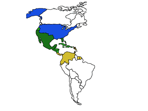 The European Conquest™ beta0.1 remix