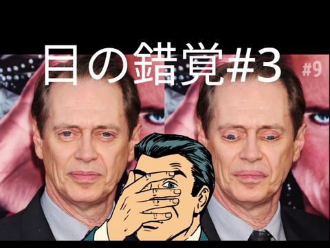 錯覚で～す#3