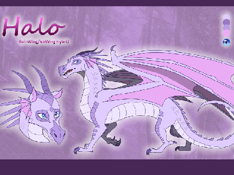 -Halo the Dragonet!-
