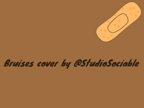 Bruises Cover 