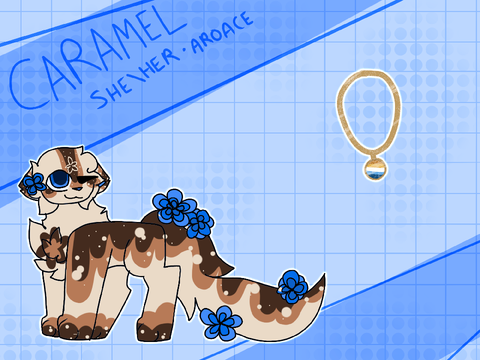 [ ✩ ] Caramel