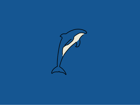 dolphin