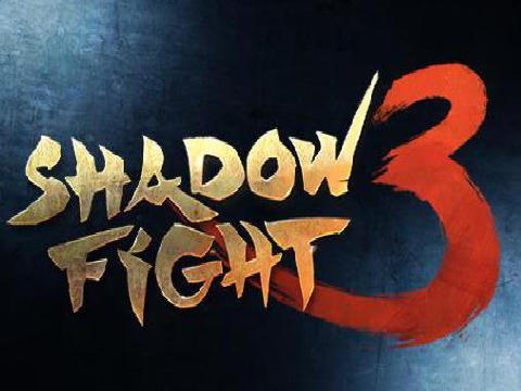 Shadow fight 3