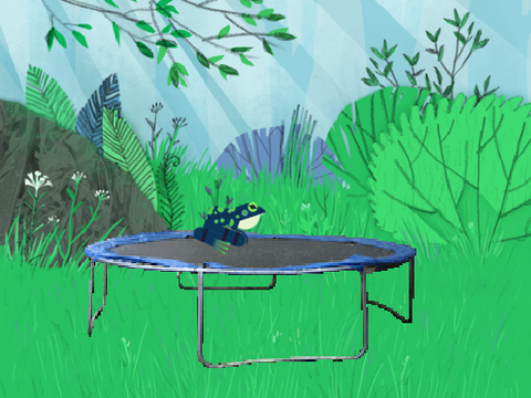Weird Frog