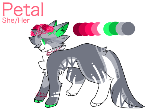 [ ✩ ] Petal