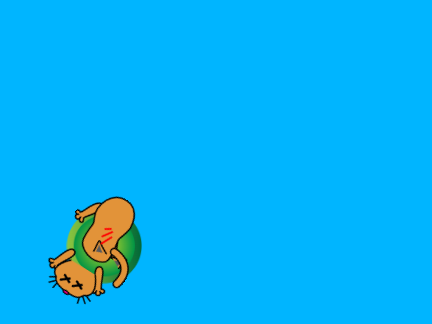 cat splat