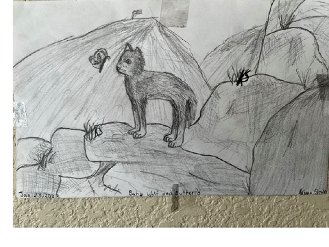 One of my drawings- baby wolf and butterfly