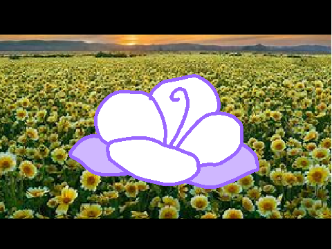 Flowers // Original Meme Template