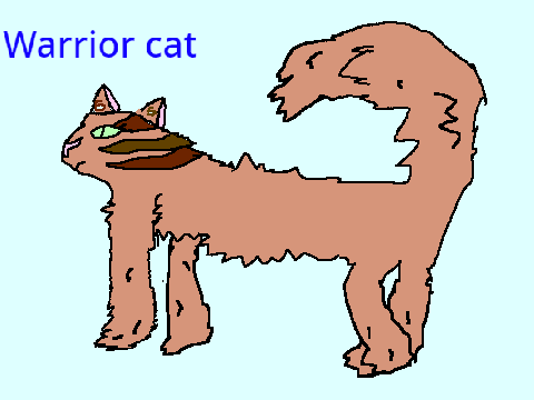 Warrior Cat