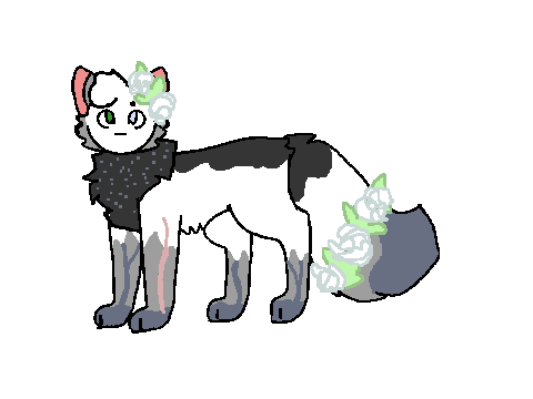 Alpineblink Ref Sheet