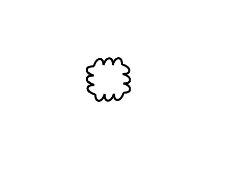 shape
