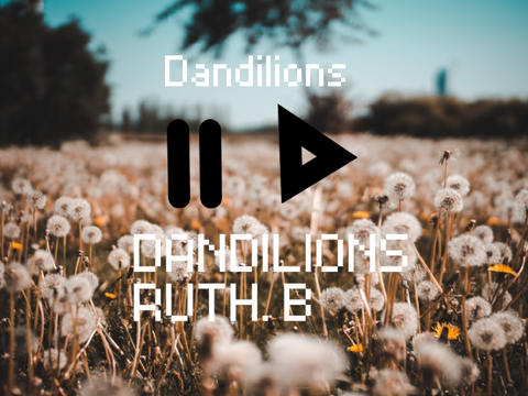 *-DANDILIONS -* Ruth. B