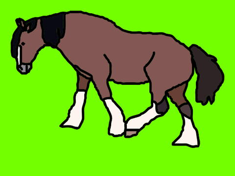 Drawing of a Clydesdale horse