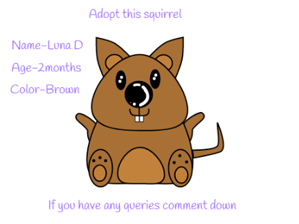 Adopt a squirrel (part-1)
