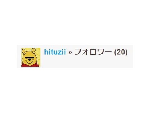 フォロワー20人