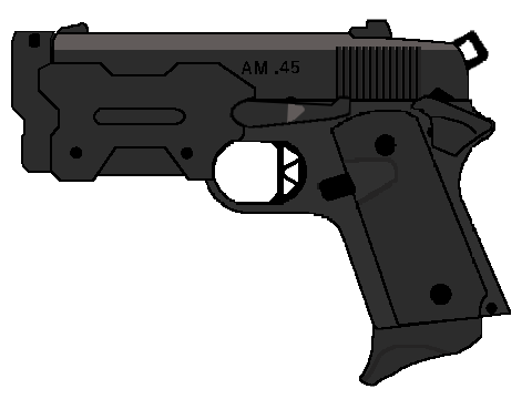 AM.45