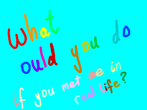 WHAT WOULD YOU DO IF YOU MET ME?
