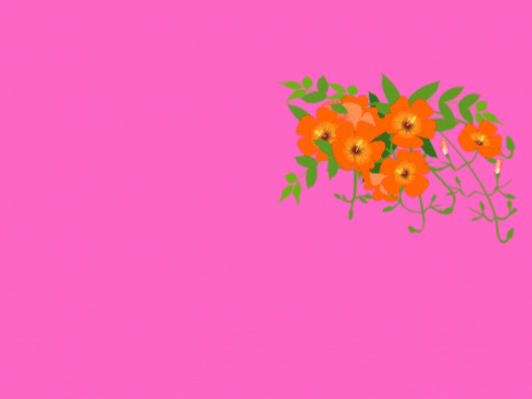 Plants and trees