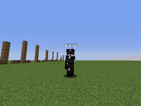 minecraft skin