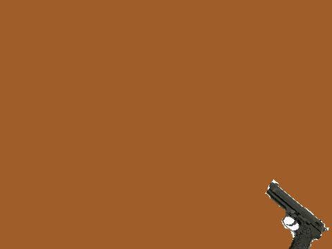 gun game