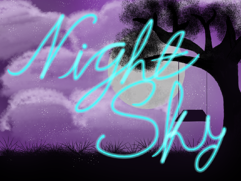 #1:Night Sky