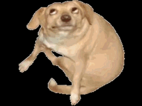 doge