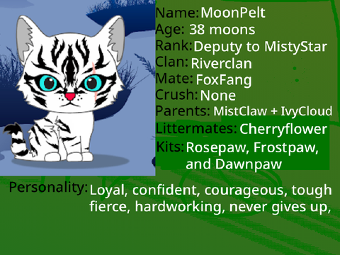 Warrior cats Card! remix