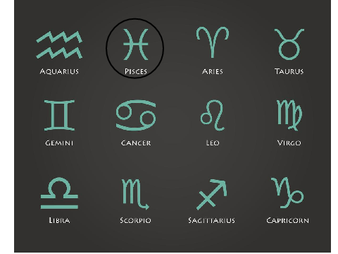 circle your your zodiac remix