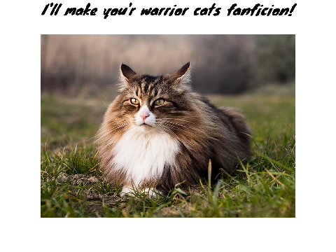 I'll write your fanfiction!