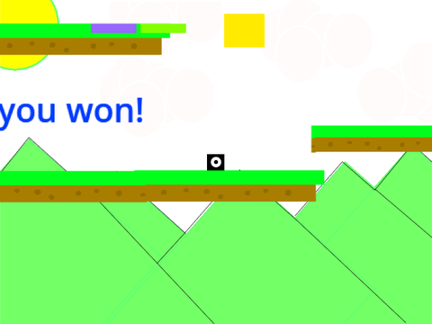  Platformer