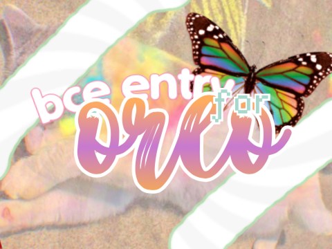 ✂️ bce for Oreo ⌲