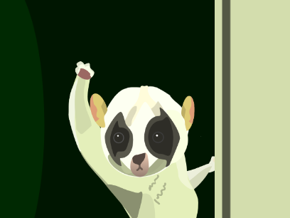 Slow loris (inmu kun)