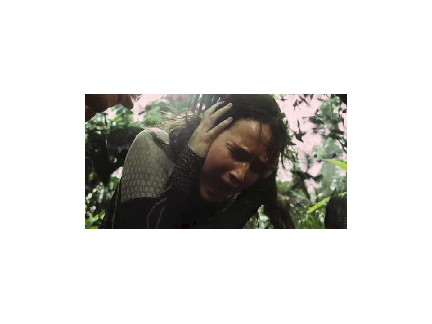 Rue's Death - huger games