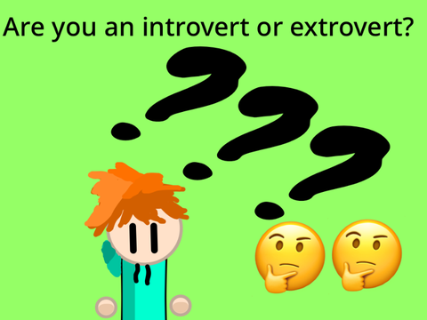 Introvert/Extrovert test