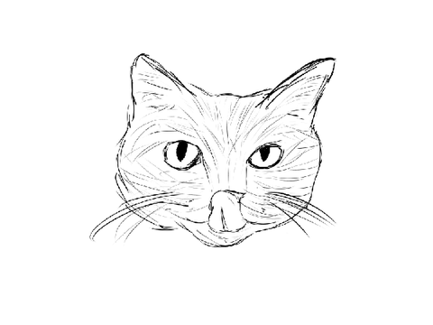 kitty meow