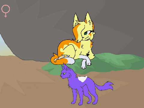 - Path of a Medicine Cat - (unfinish)