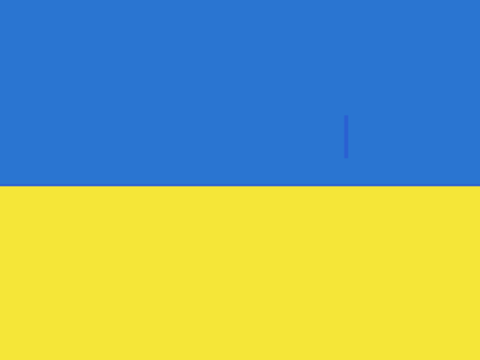 Ukrainian flag