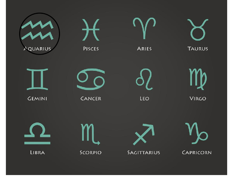circle your zodiac remix