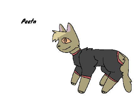Hunger Games (Catified)